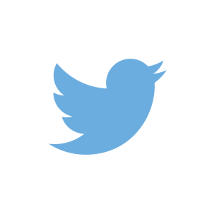 The iconic icon of the twitter bird, apparently named Larry.  Larry Bird?  NBA Star?  Yeah, it's all lame.